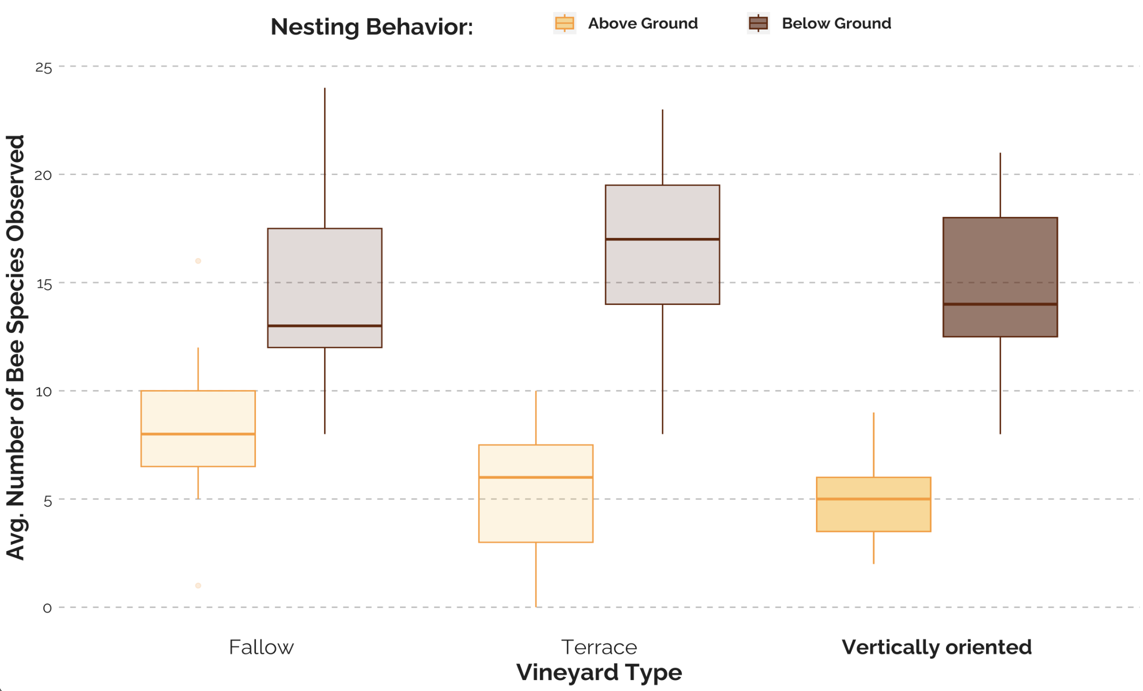 Boxplot showing distribution of below-ground and above-ground bee species at 3 vineyard types, fallow, terrace, and vertically oriented. Vertically oriented showed the greatest different between above ground and below ground species with below ground species being more present.